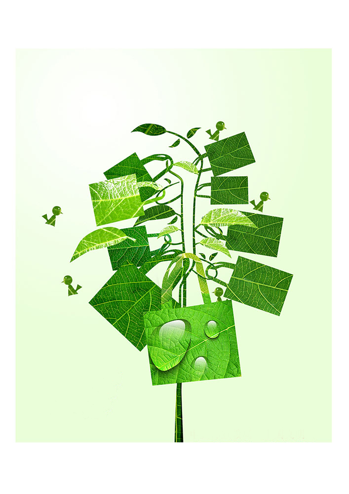一花一世界，一個環(huán)保袋一抹綠